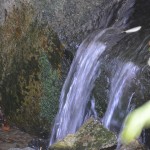 It all starts with flowing water